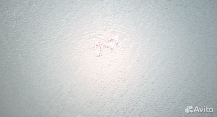 Айс флоатинг в баренцевом море