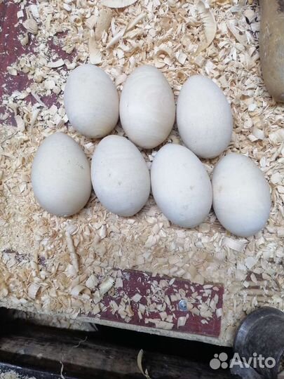 Заготовки яйца, из натурального дерева липа