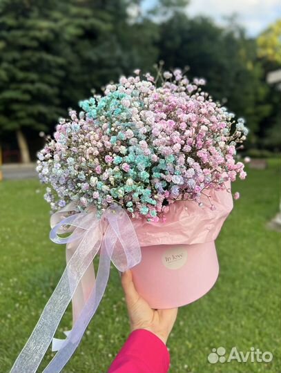 Гипсофила Цветы Доставка