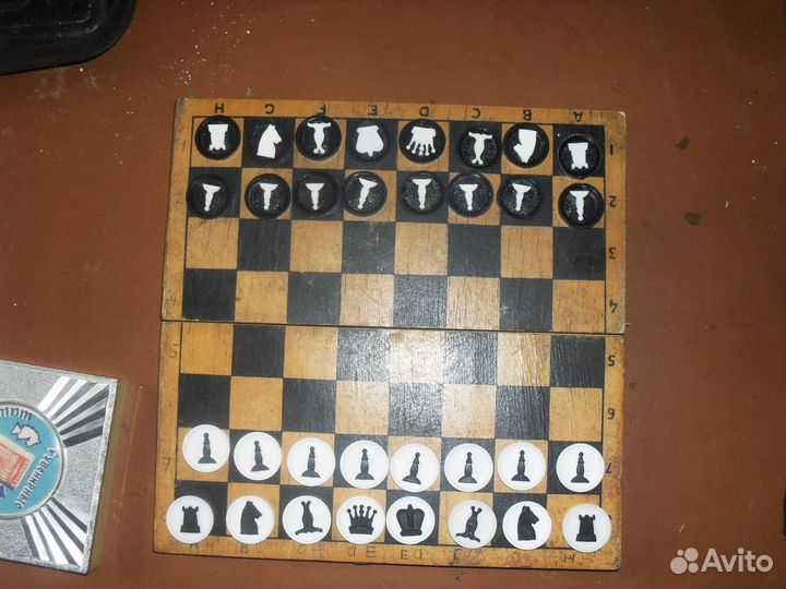 Шашки шахматы