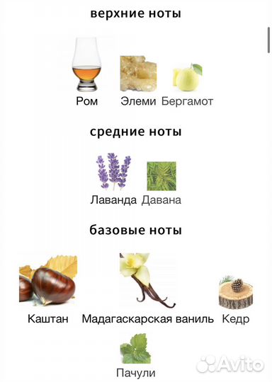 Emporio Armani Stronger With You Absolutely