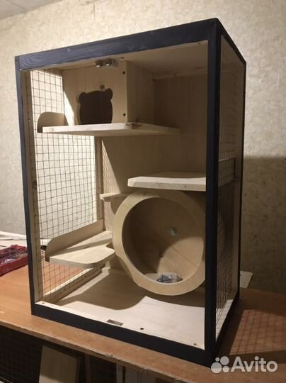 Клетка