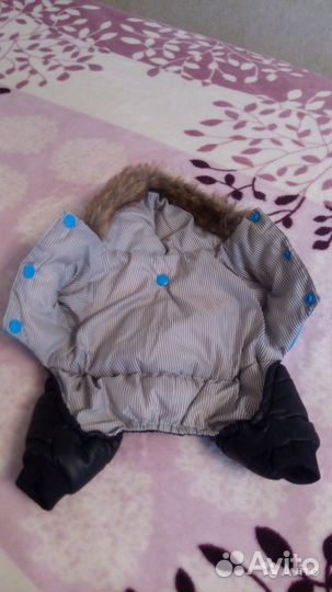 Одежда-Комбинезон для маленькой породы собак