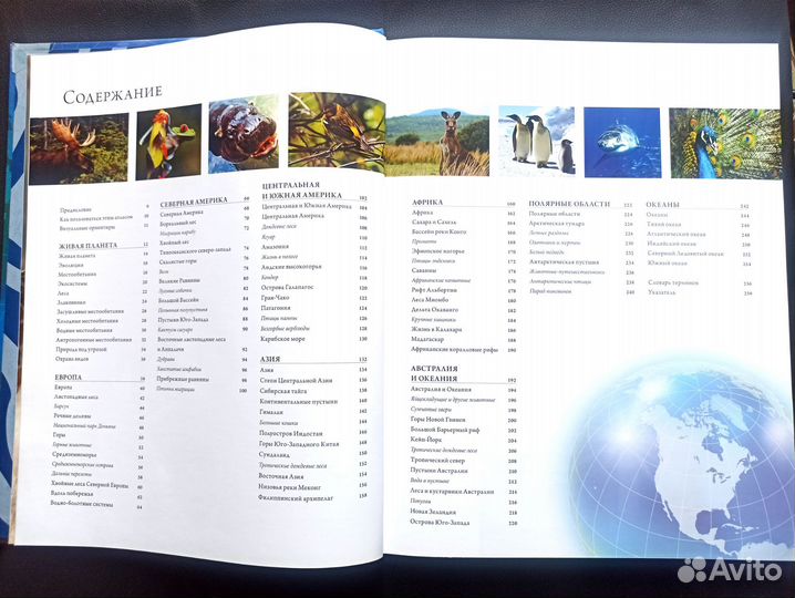 Атлас животного мира.(энциклопедия)