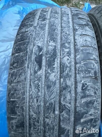 Nordman SX3 6.5/65 R14
