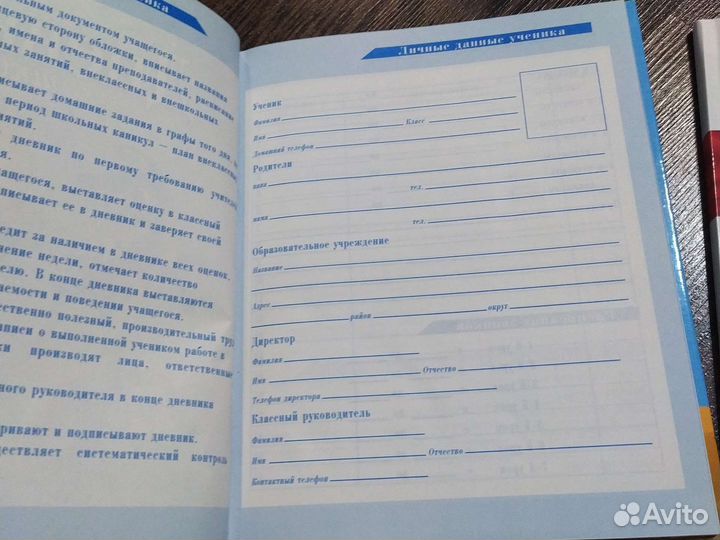 Дневники школьные
