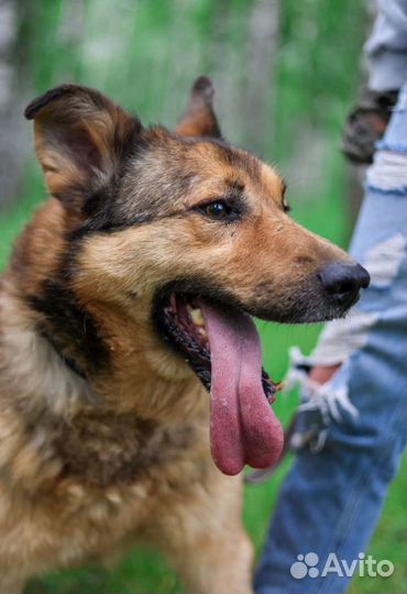 Спаси меня мама