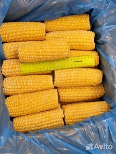 Кукуруза в початках замороженная