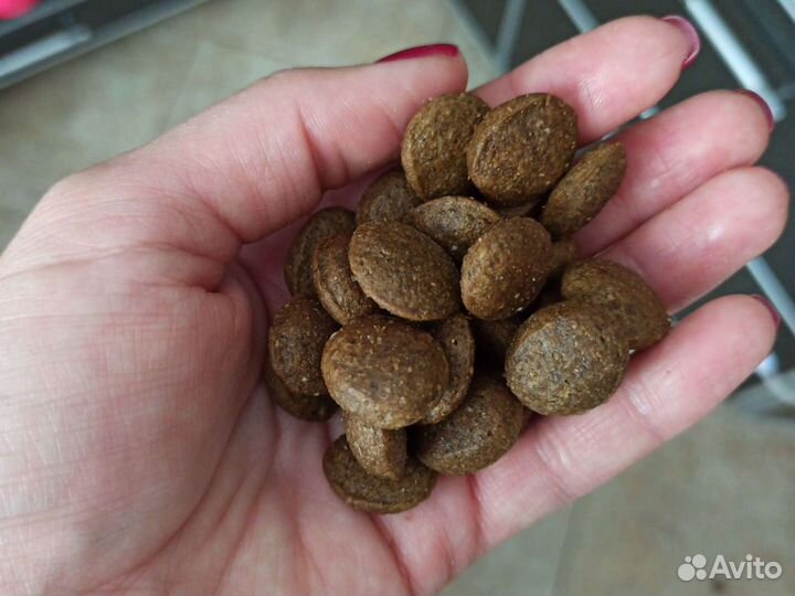 Корм Променад для собак и кошек