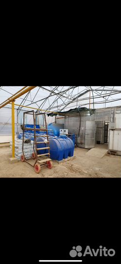 Профессиональная фермерская теплица