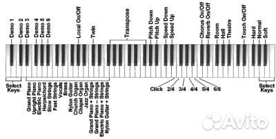Пианино от 20800 и Orla Stage-Starter цифровое