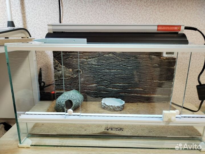 Террариум для рептилий