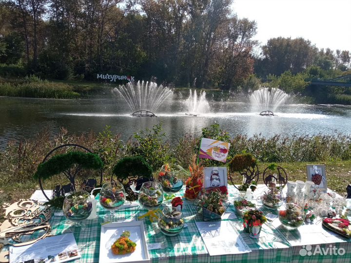 Флорариум подарок