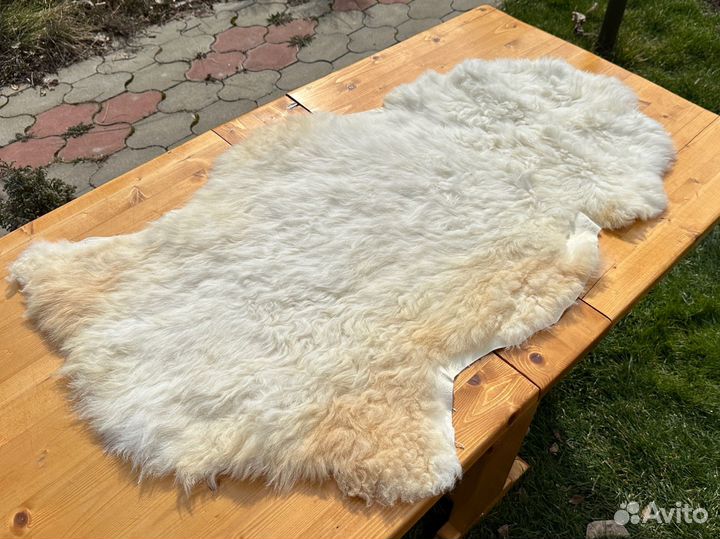Овечьи шкуры белые не стриженные