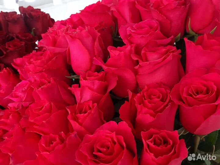 Цветы розы с доставкой