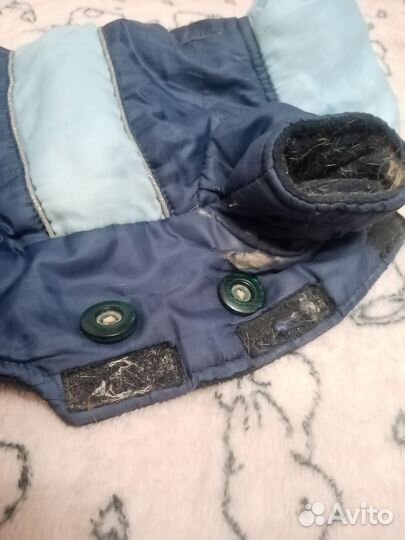 Одежда для маленьких собак