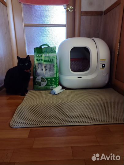 Умный кошачий туалет