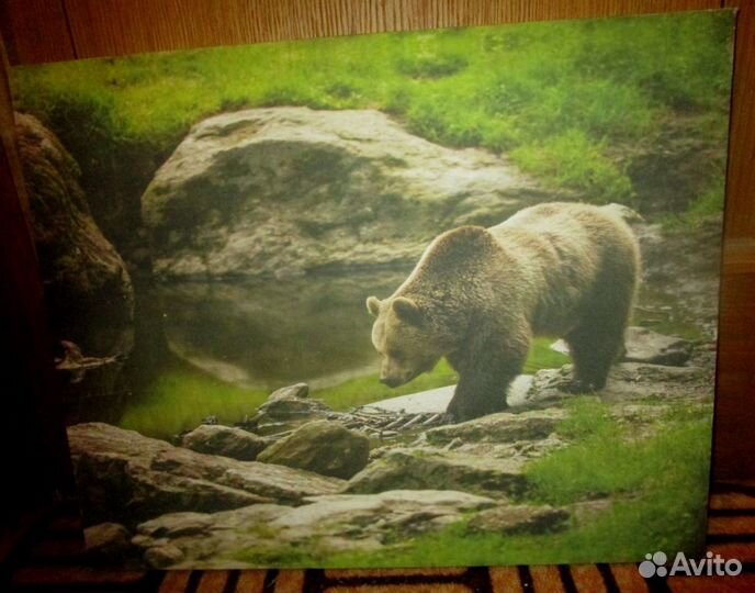 Медведь на водопое репродукция СССР
