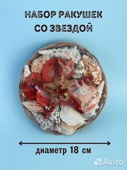 Ракушки с морской звездой - набор в корзинке