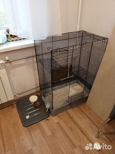 Клетка для грызунов очень большая