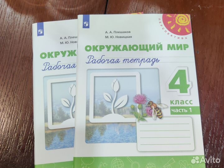 Рабочая тетрадь окружающий мир 4 класс