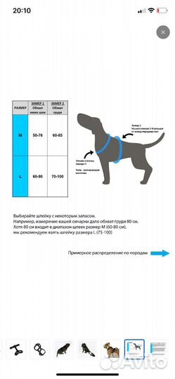 Шлейка для собак