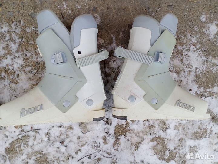 Горные лыжи