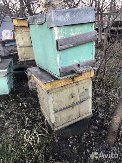 Ульи для пчел бу