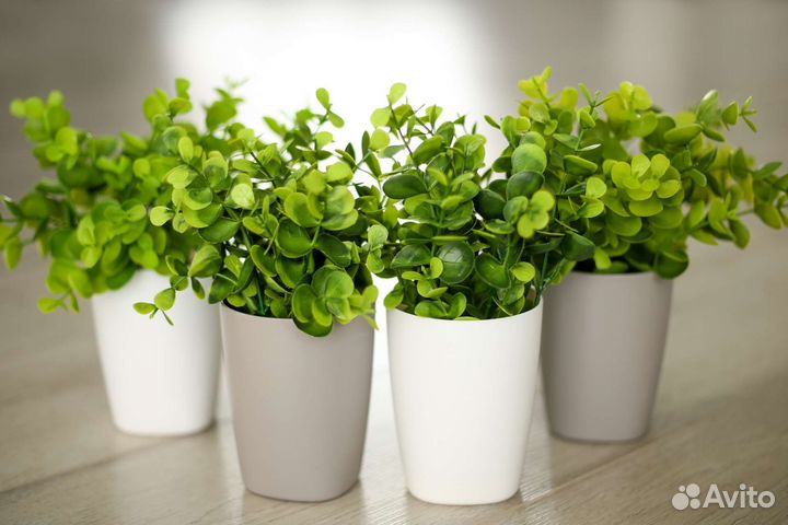 Искусственная зелень, осока, трава, цветы в кашпо