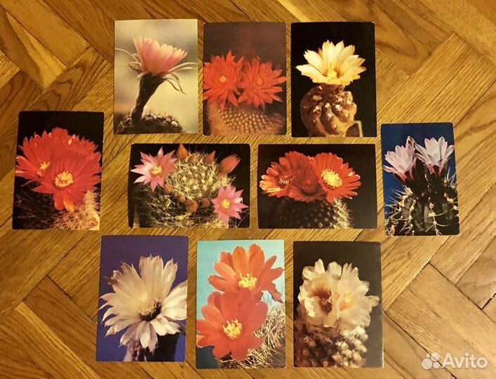 Наборы художественных открыток времён СССР разные