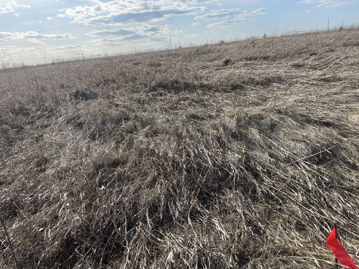 Участок 10 сот. (СНТ, ДНП)