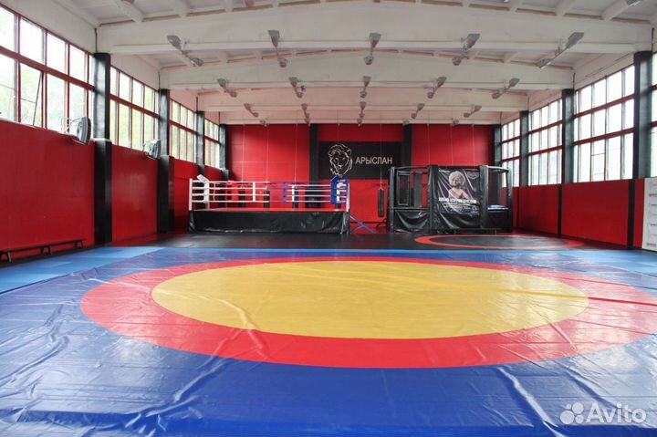 Тренер по мма, тайскому боксу, кикбоксингу, боксу