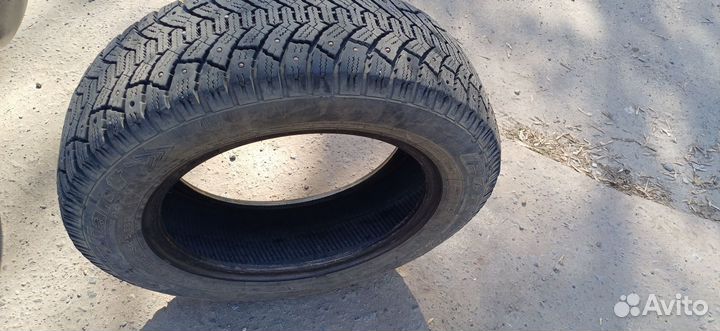 Cordiant Polar 185/65 R15