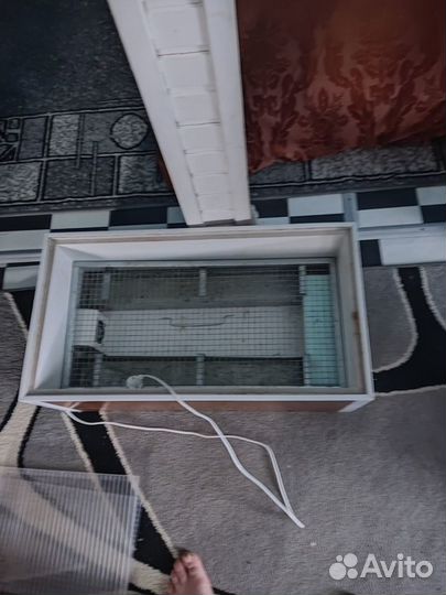 Инкубатор для яиц