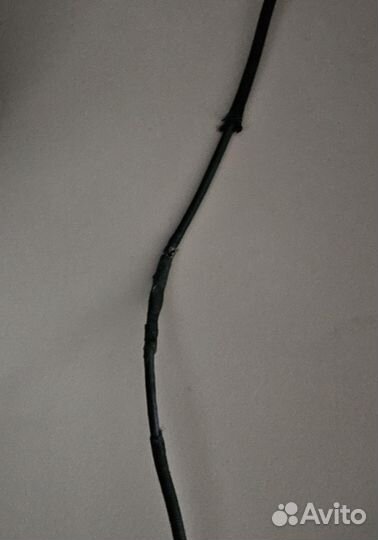 Наушники Razer kraken kitty проводные