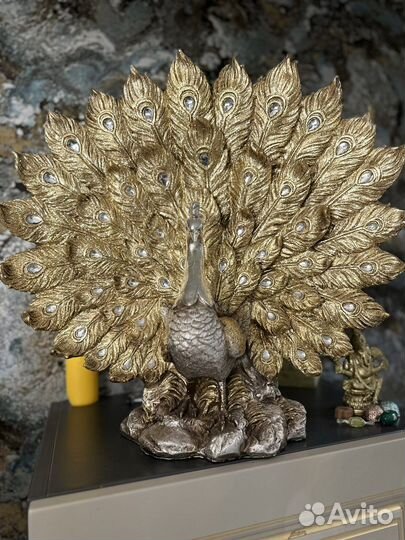 Роскошный павлин