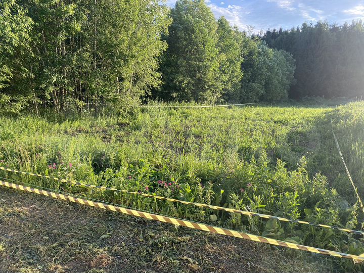 Участок 6,5 сот. (ИЖС)