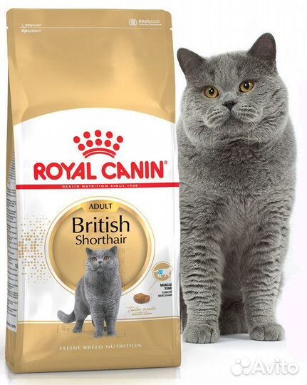 Корм Royal Canin для британской короткошерстной
