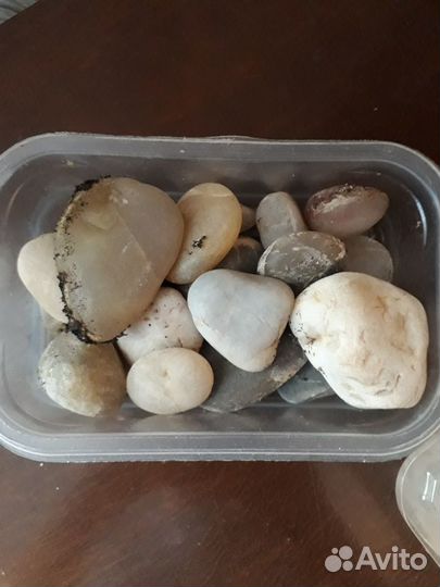 Камешки для декорирования и поделок