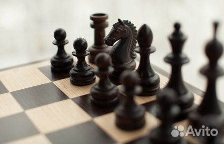 Шахматы: шахматы завоеватель премиум