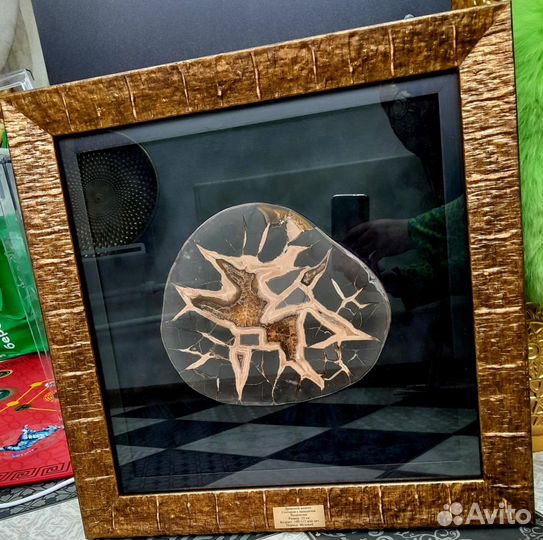 Септария. Драконий камень.Уникальный образец панно