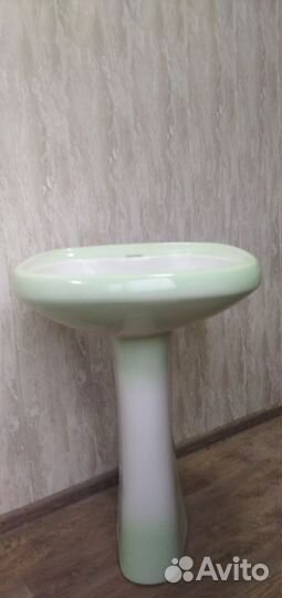 Раковина тюльпан