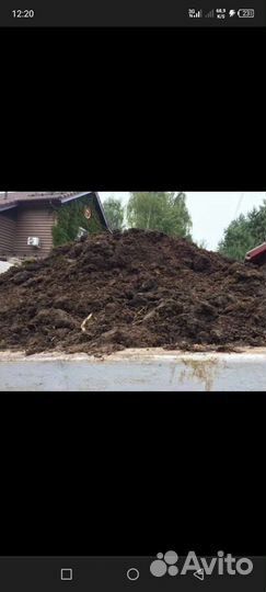 Конский навоз