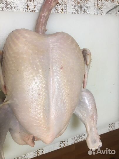 Мясо домашней птицы