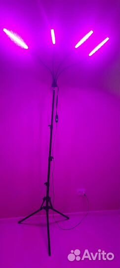 LED фитолампа для растений и рассады