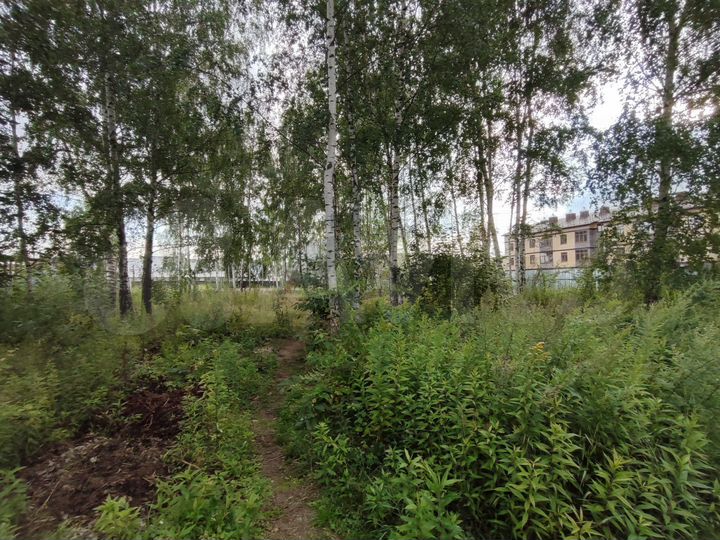 Участок 12,5 сот. (СНТ, ДНП)