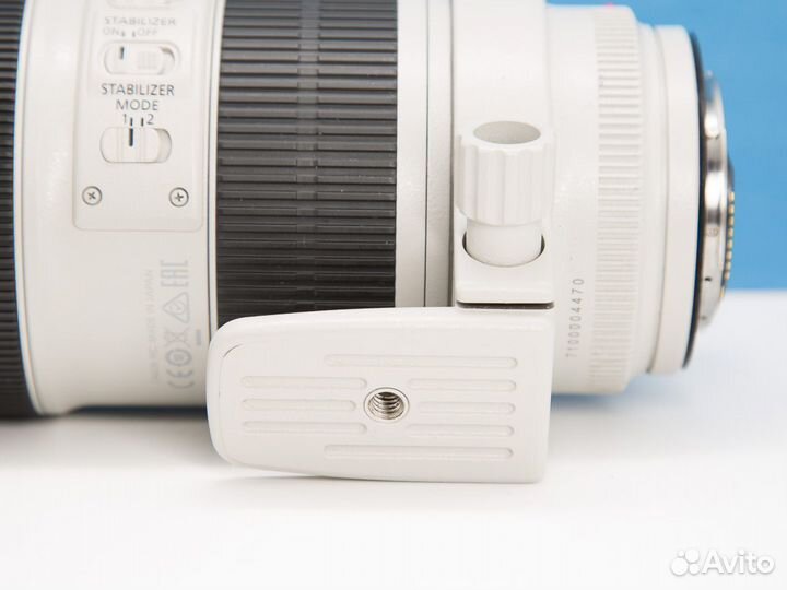 Canon EF 70-200mm f/2.8L IS III USM