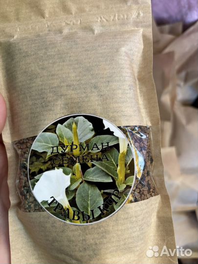 Дурмана семена