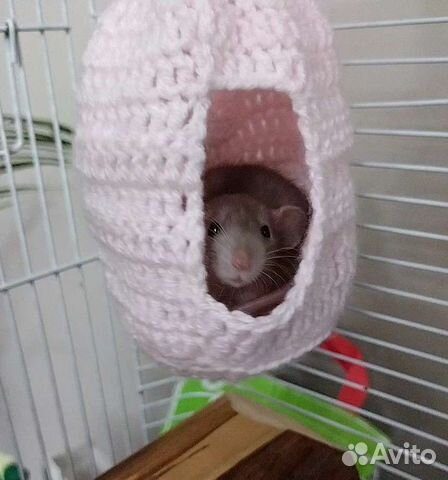 Гамак для грызунов