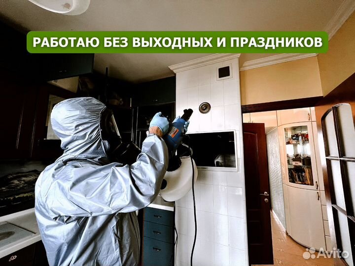 Дезинфекция уничтожение тараканов клопов